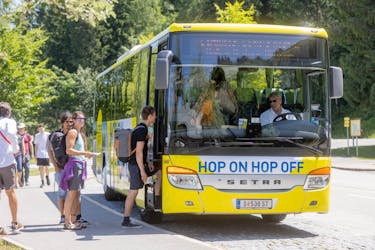 Recorrido en autobús con paradas libres por Salzburgo Minas de sal, Nido de águila y Hallein